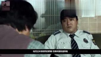 花瓣电影在线观看,在线观影新体验，畅享影视盛宴  第2张