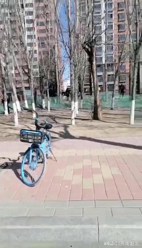 爆料保定小树林视频,揭秘背后真相与争议 第1张 爆料保定小树林视频,揭秘背后真相与争议 第1张